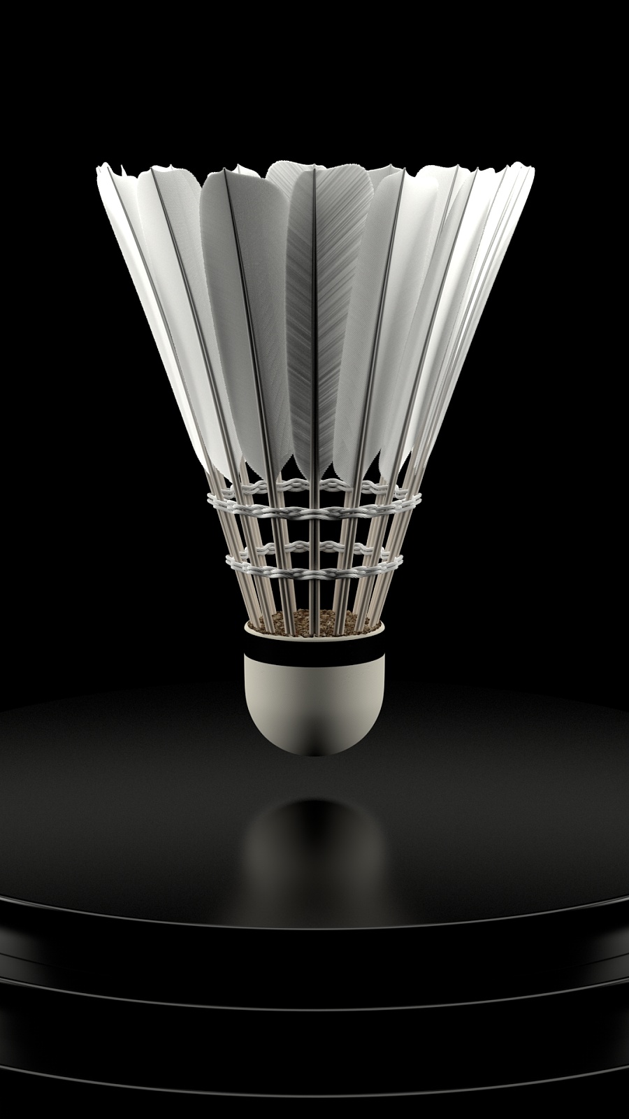 尤其是在主 尤其是在主